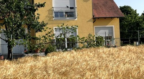 Außenansicht Haus